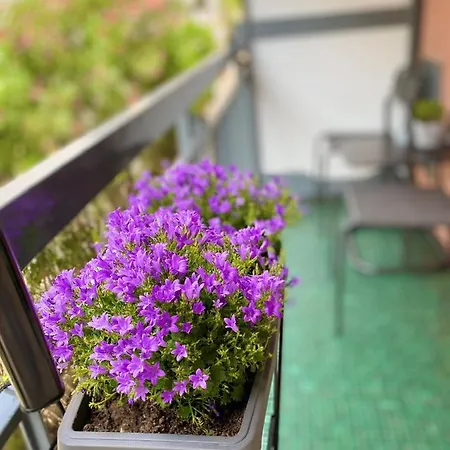 Apartment Bella - Center -air Conditioning -wi-fi Rapallo